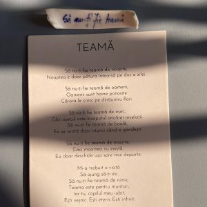 LIT Broșă din porțelan ”Să nu-ți fie teamă”