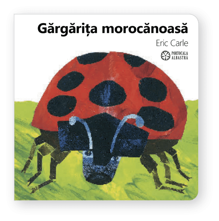 Gargarita-morocanoasa-768×774