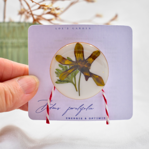 CAS Mărțișor - imagine 15