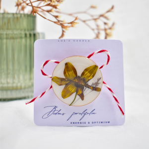 CAS Mărțișor - imagine 13