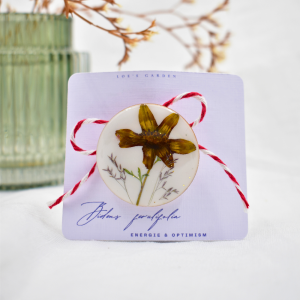 CAS Mărțișor - imagine 12