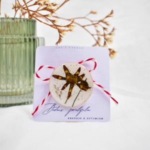 CAS Mărțișor - imagine 11