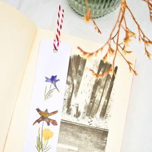 CAS Semn de carte - imagine 4